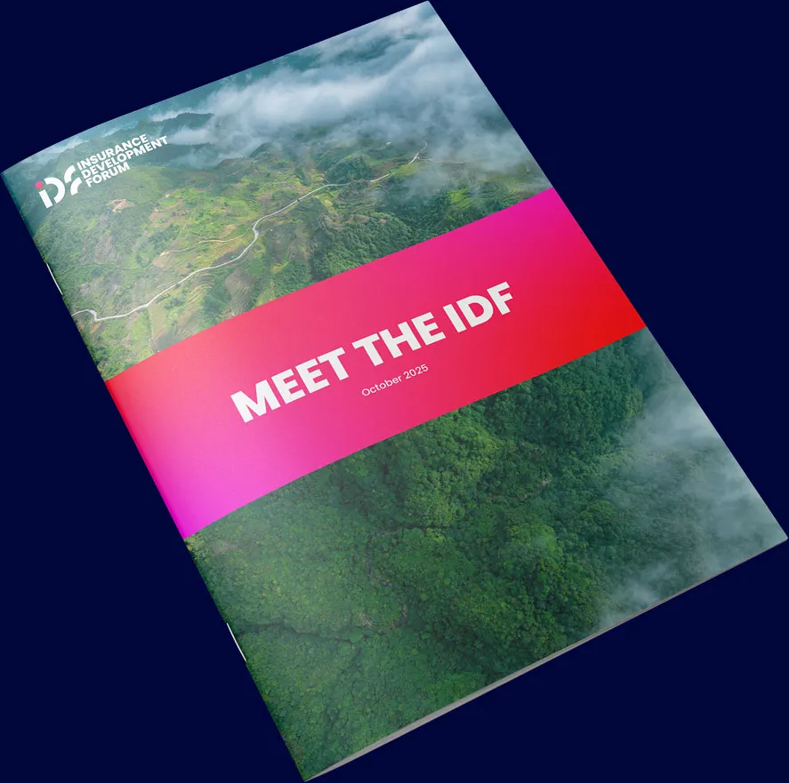 Meet the IDF
