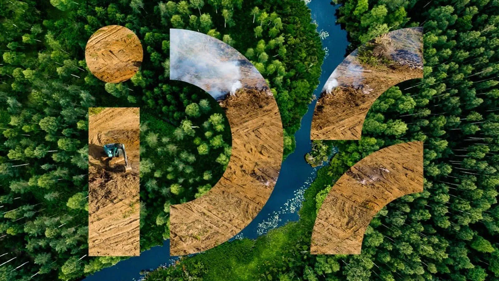 Reflections on the Insurance Development Forum 10-Year Anniversary 2025 Annual Review