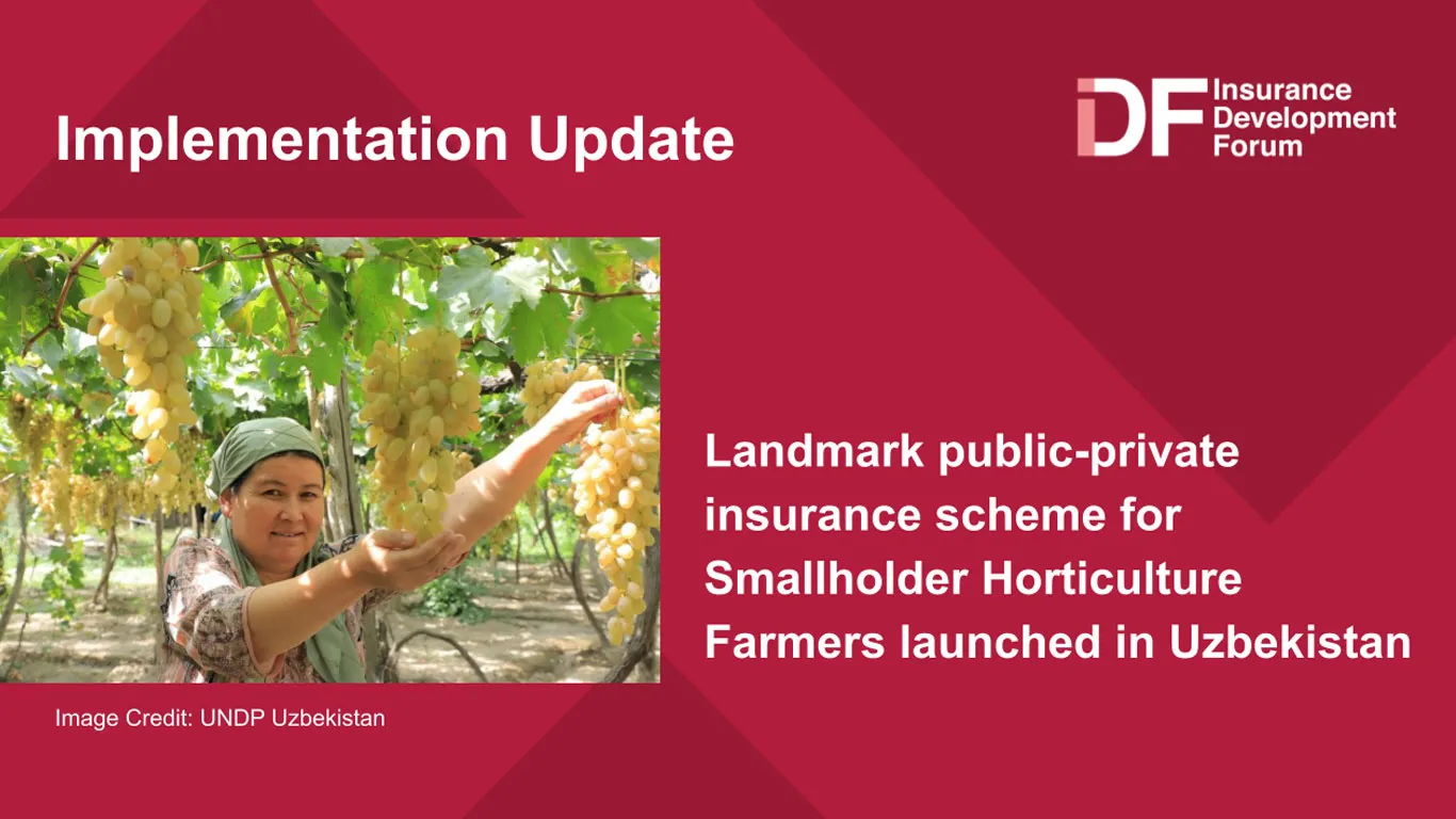 Landmark public-private insurance scheme for Smallholder Horticulture Farmers launched in Uzbekistan