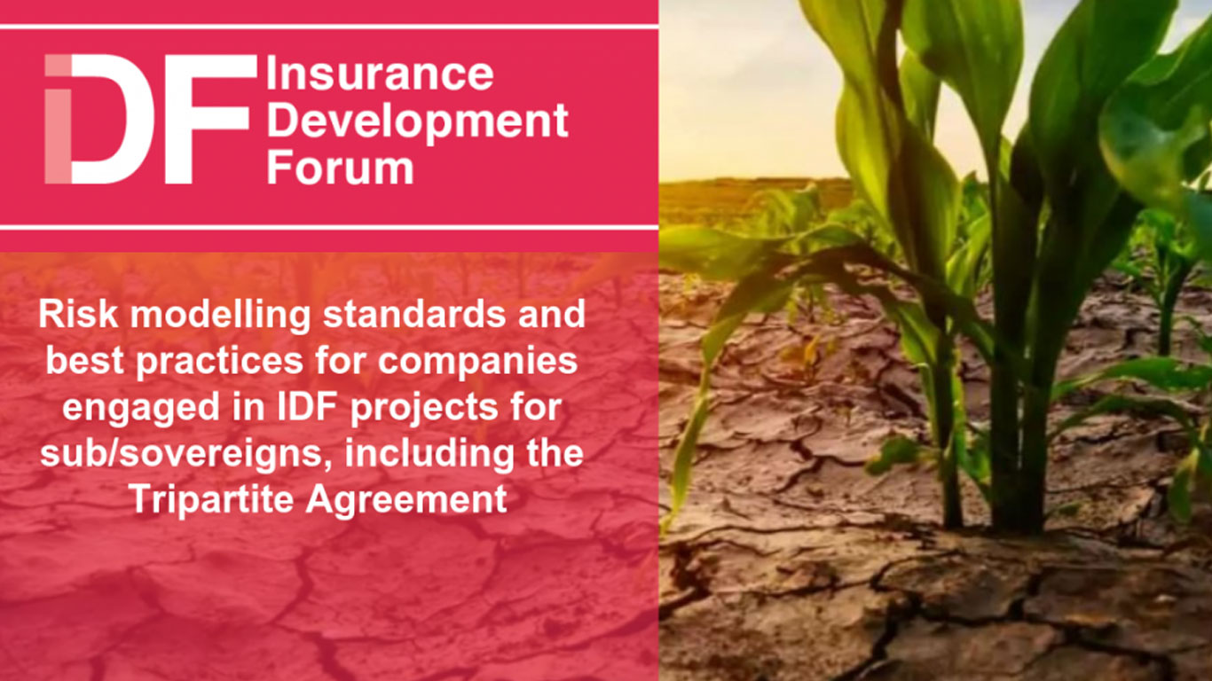 Risk modelling standards and best practices for companies engaged in IDF projects