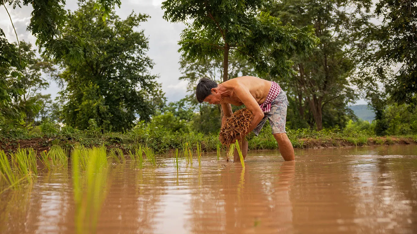 Global Risk Modelling Alliance (GRMA)