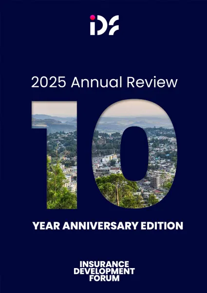IDF 2025 Annual Review